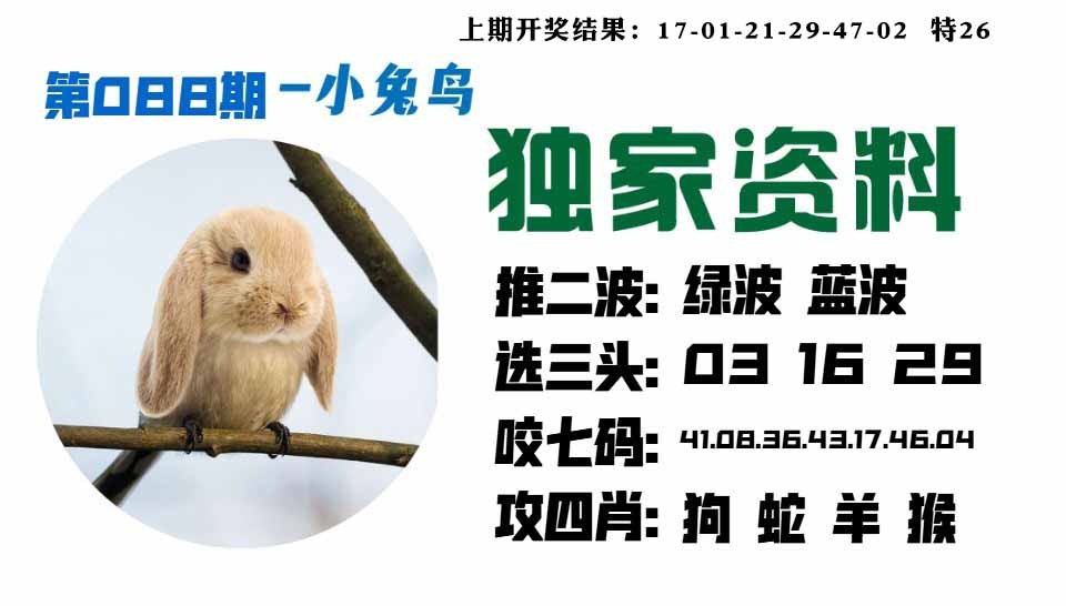 088期小兔鸟[图]